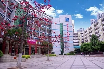 課件：物質(zhì)的鑒別【化學】