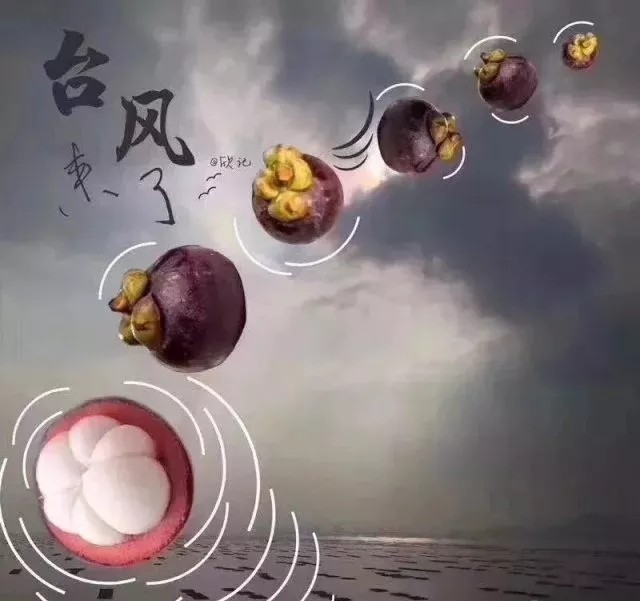 臺(tái)風(fēng)無情人有情，應(yīng)對(duì)臺(tái)風(fēng)“山竹”，我們團(tuán)結(jié)一心。