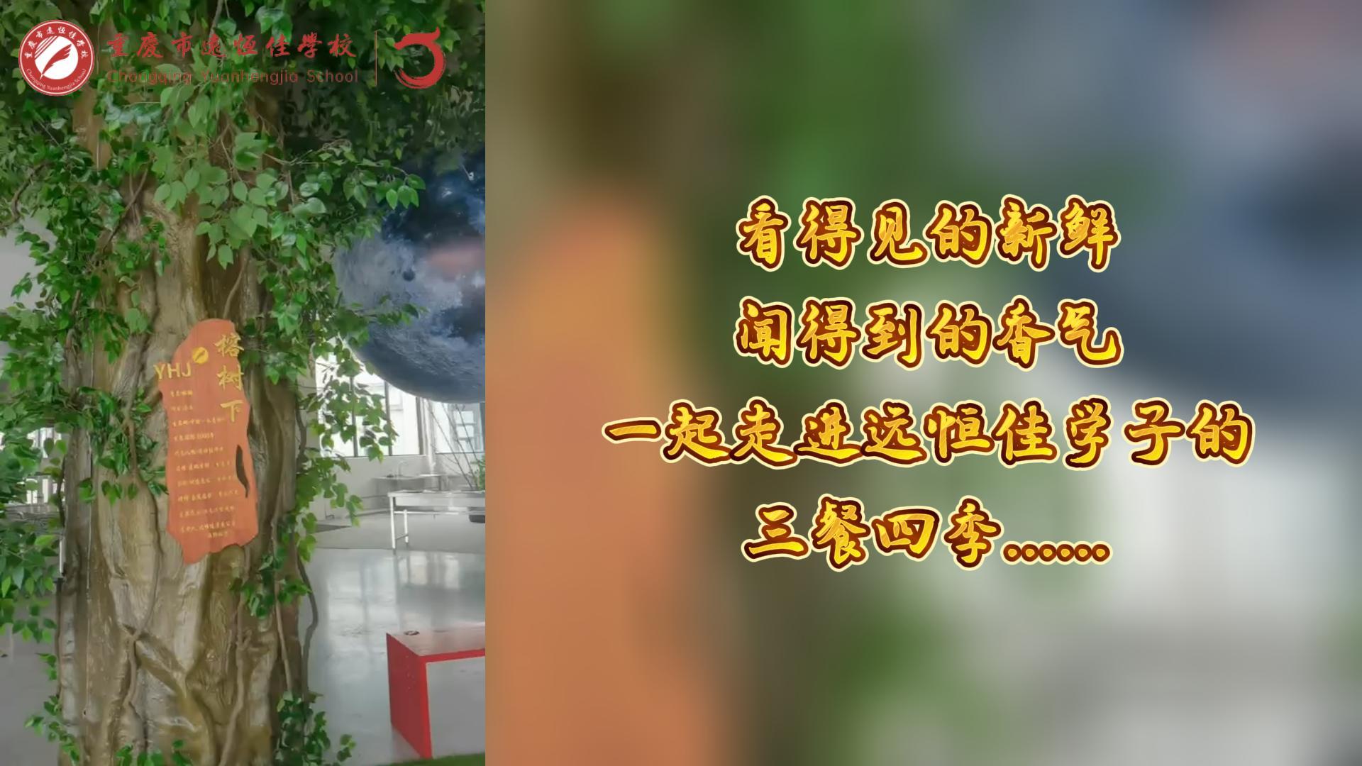 美好學(xué)校|看得見的新鮮，聞得到的香味，一起走進(jìn)遠(yuǎn)恒佳學(xué)子的三餐四季!